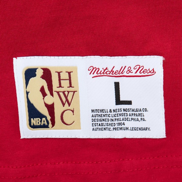Футболка Atlanta Hawks Mitchell & Ness Hardwood Classics Team OG 2.0 Premium Vintage Logo - Red