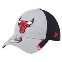 Бейсболка Chicago Bulls New Era Active Trim 39THIRTY - Gray/Black