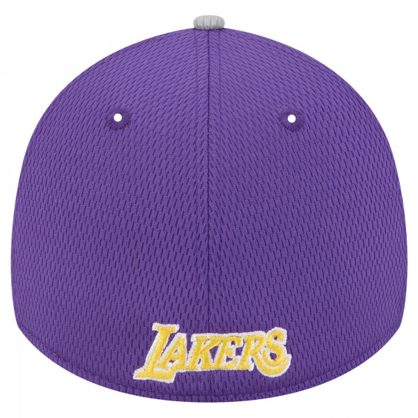 Бейсболка Los Angeles Lakers New Era Gray/Purple Active Trim 39THIRTY