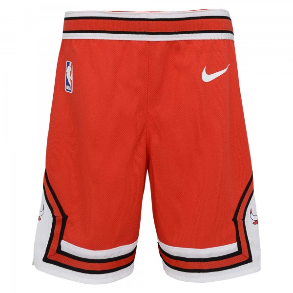 Дошкольнику Chicago Bulls Nike Red Icon Replica Shorts