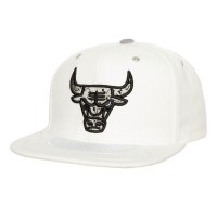 Бейсболка Chicago Bulls Mitchell & Ness White Day 4