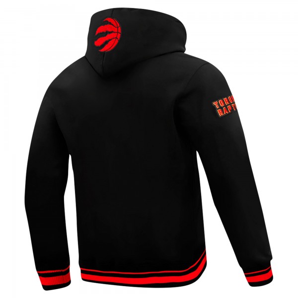 Toronto Raptors Pro Standard Black Area Code Pullover Hoodie