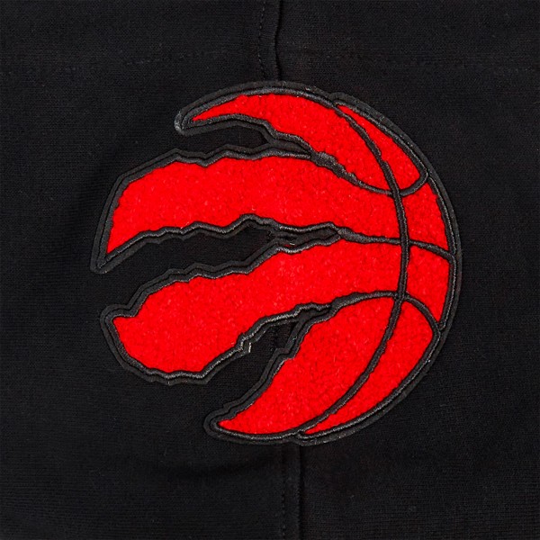 Toronto Raptors Pro Standard Black Area Code Pullover Hoodie