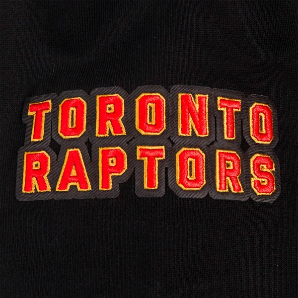 Toronto Raptors Pro Standard Black Area Code Pullover Hoodie