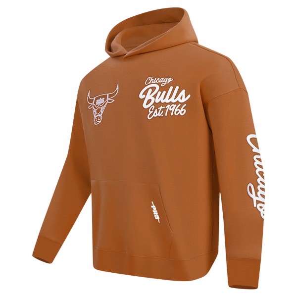Толстовка Chicago Bulls Pro Standard Paint the City Drop Shoulder - Brown
