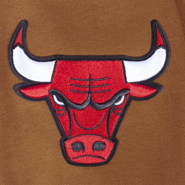 Толстовка Chicago Bulls Pro Standard Paint the City Drop Shoulder - Brown