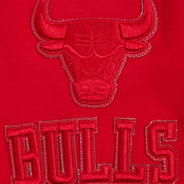 Толстовка на молнии Chicago Bulls Pro Standard Triple Tonal DK - Red