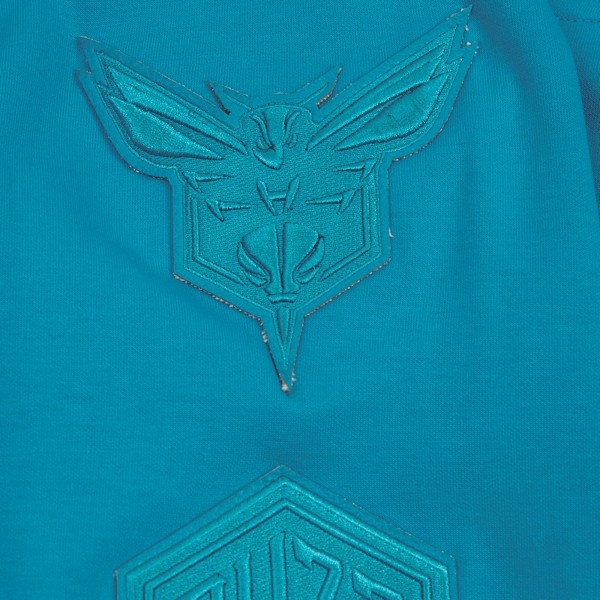 Толстовка на молнии Charlotte Hornets Pro Standard Triple Tonal DK - Teal