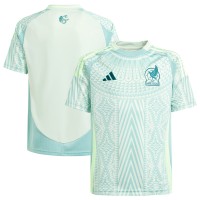 Подростковая Mexico National Team adidas 2024 Away Replica Jersey - Green