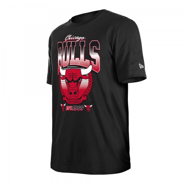 Футболка Chicago Bulls New Era Unisex Summer Classics - Black
