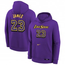 Толстовка LeBron James Los Angeles Lakers Nike Youth 2024/25 City Edition Name & Number - Purple