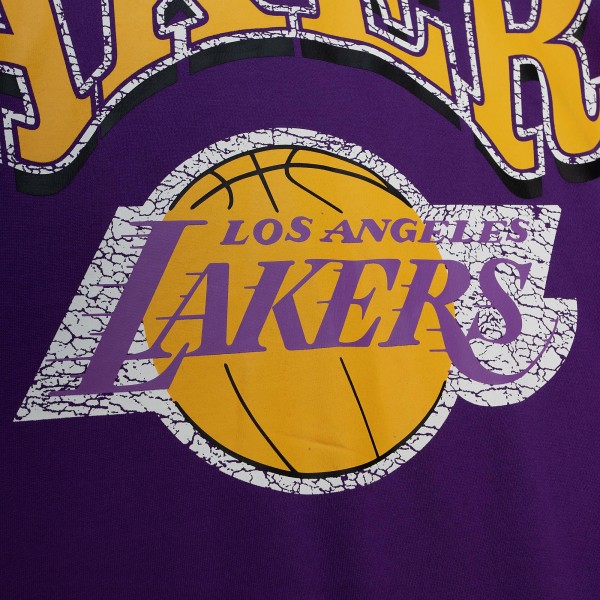 Кофта Los Angeles Lakers Mitchell & Ness Hardwood Classics Fashion Fleece - Purple
