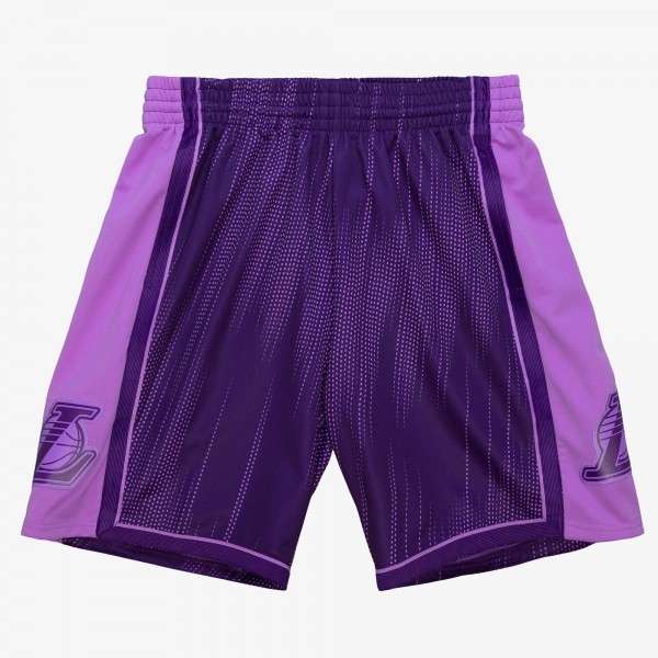 Шорты Los Angeles Lakers Mitchell & Ness 2008/09 Hardwood Classics Monochrome Swingman - Purple