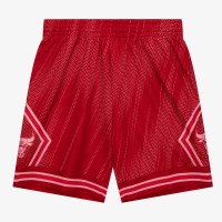 Шорты Chicago Bulls Mitchell & Ness Red 2008/09 Hardwood Classics Monochrome Swingman