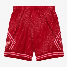 Шорты Chicago Bulls Mitchell & Ness Red 2008/09 Hardwood Classics Monochrome Swingman