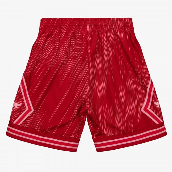 Шорты Chicago Bulls Mitchell & Ness Red 2008/09 Hardwood Classics Monochrome Swingman