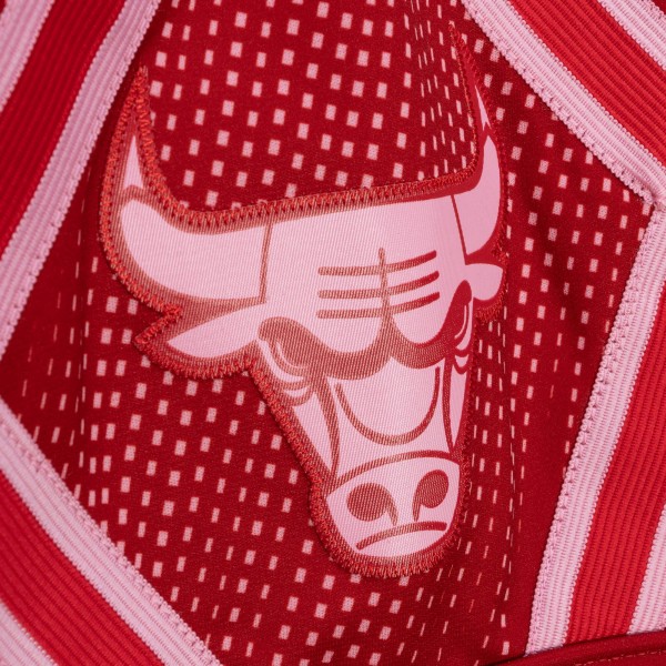 Шорты Chicago Bulls Mitchell & Ness Red 2008/09 Hardwood Classics Monochrome Swingman