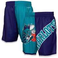 Шорты Charlotte Hornets Mitchell & Ness Teal Big Face 5.0 Fashion