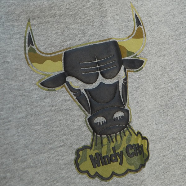 Штаны Chicago Bulls Mitchell & Ness Heather Gray Ghost Green Camo