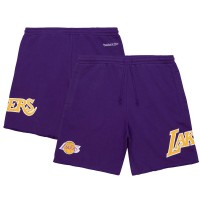 Шорты Los Angeles Lakers Mitchell & Ness Game Day - Purple