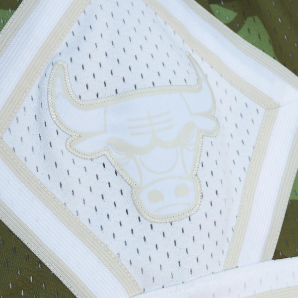 Шорты Chicago Bulls Mitchell & Ness 1997-98 Hardwood Classics Ghost Green Swingman - Camo