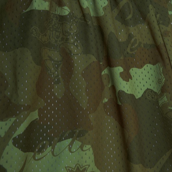 Шорты Boston Celtics Mitchell & Ness 1985-86 Hardwood Classics Ghost Green Swingman - Camo