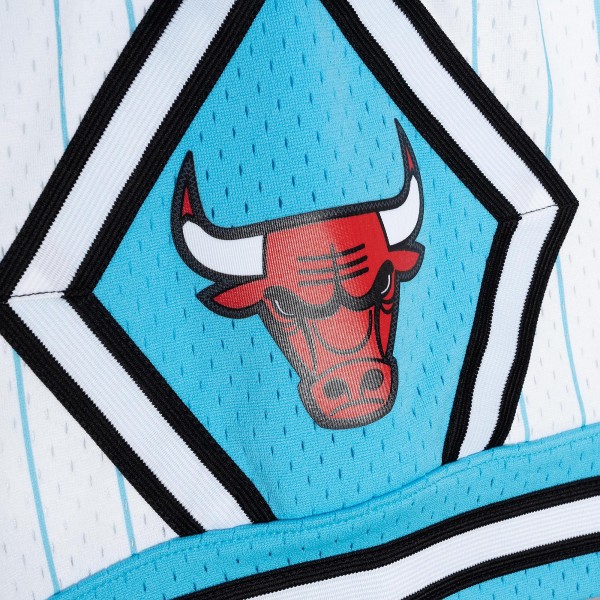 Шорты Chicago Bulls Mitchell & Ness 1995-96 Hardwood Classics Reload 3.0 Swingman - White