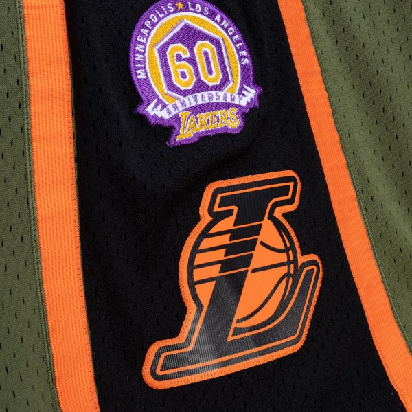 Шорты Los Angeles Lakers Mitchell & Ness 2009-10 Hardwood Classics Flight Swingman - Green