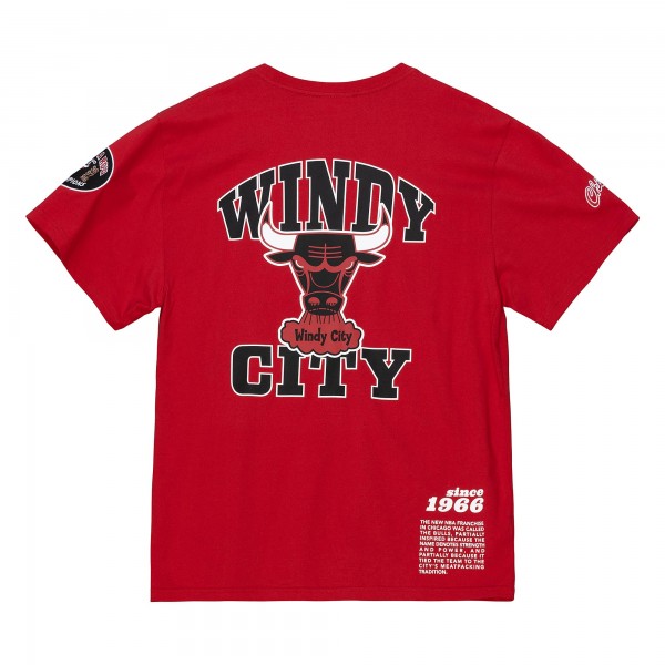 Футболка Chicago Bulls Mitchell & Ness Team Origins - Red