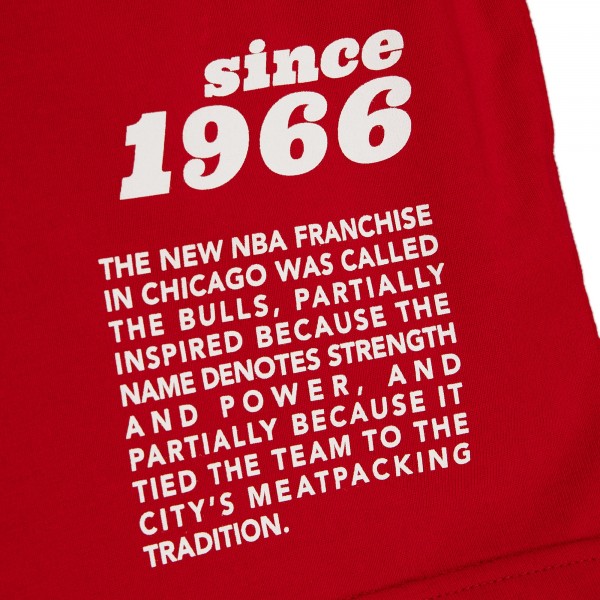 Футболка Chicago Bulls Mitchell & Ness Team Origins - Red