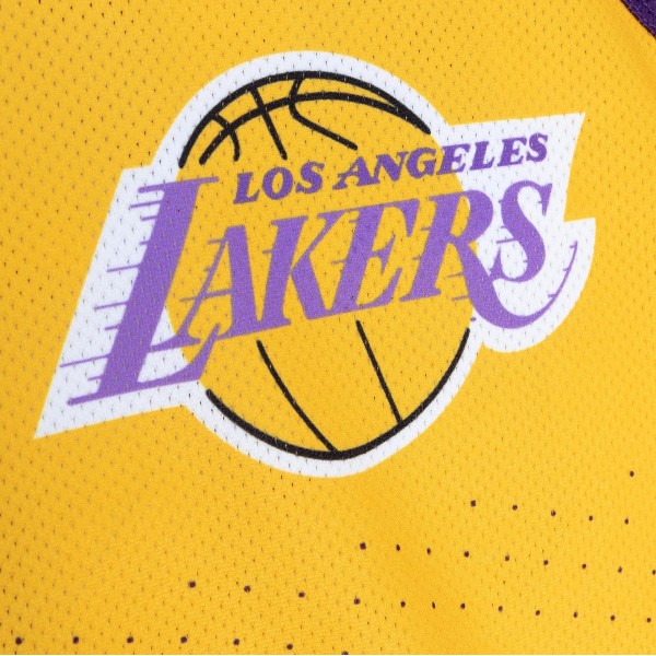 Майка Los Angeles Lakers Mitchell & Ness Home & Away Mesh - Purple
