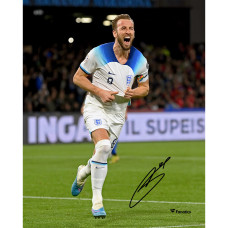 Фото с автографом Harry Kane England National Team Fanatics Authentic 8 x 10 White Jersey Celebrating 54th Goal