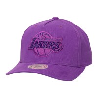 Бейсболка Los Angeles Lakers Mitchell & Ness Purple Washed Out Tonal Logo