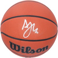 Мяч Al Horford Boston Celtics Autographed Fanatics Authentic 2024 NBA Finals Champions Wilson Authentic Series Indoor/Outdoor