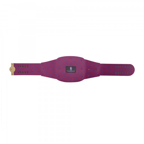 Toronto Raptors WWE Legacy Title Belt