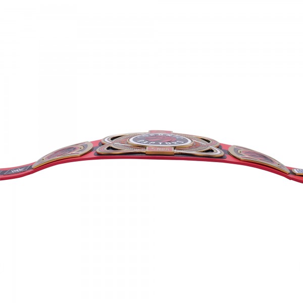 Toronto Raptors WWE Legacy Title Belt