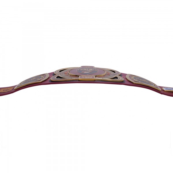 Cleveland Cavaliers WWE Legacy Title Belt