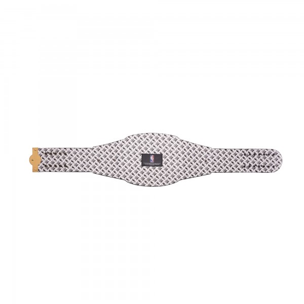 Brooklyn Nets WWE Legacy Title Belt