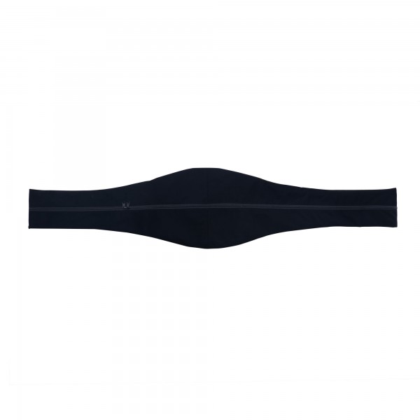 Chicago Bulls WWE Legacy Title Belt