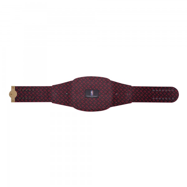 Chicago Bulls WWE Legacy Title Belt