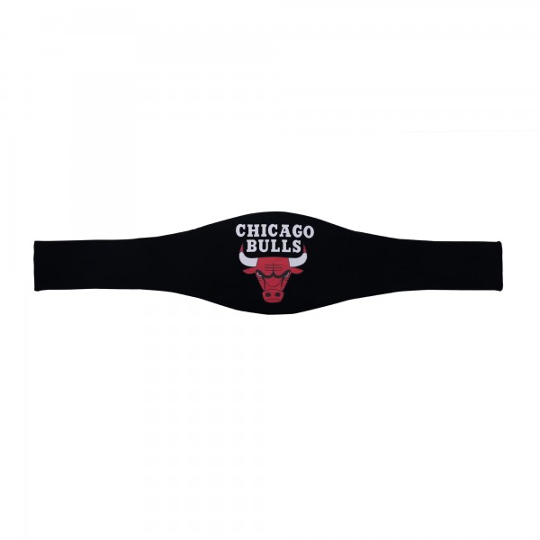 Chicago Bulls WWE Legacy Title Belt