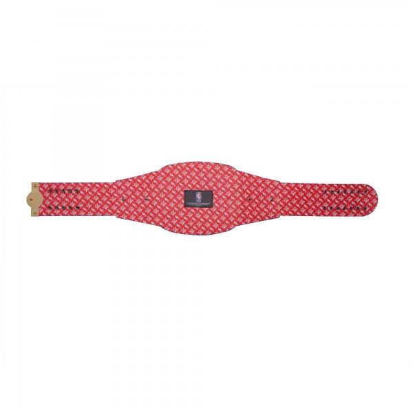 Detroit Pistons WWE Legacy Title Belt