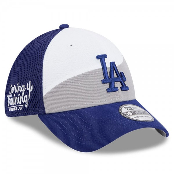 Бейсболка Los Angeles Dodgers New Era Gray/Royal 2025 Spring Training 39THIRTY
