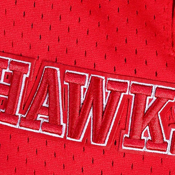 Шорты Atlanta Hawks Pro Standard Script Tail 2.0 - Black