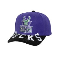 Бейсболка Milwaukee Bucks Mitchell & Ness Purple/Black Underarch Two-Tone Pro Crown