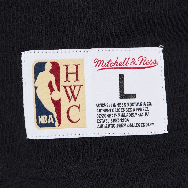 Футболка Charlotte Hornets Mitchell & Ness Hardwood Classics Felt Applique Slub - Black