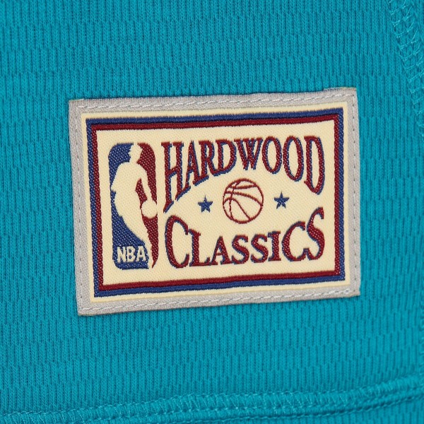 Толстовка Charlotte Hornets Mitchell & Ness Hardwood Classics Lightweight Thermal - Teal