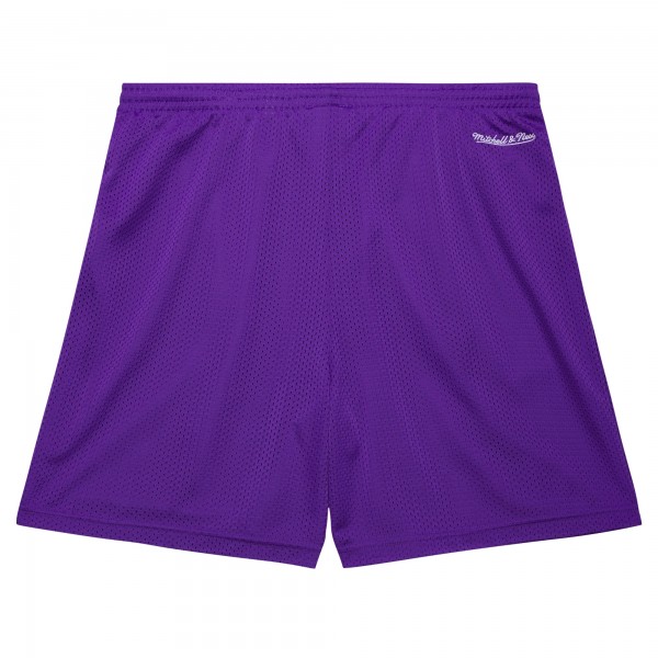 Toronto Raptors Mitchell & Ness Purple Hardwood Classics Gameday Mesh Shorts