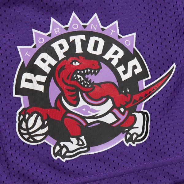 Toronto Raptors Mitchell & Ness Purple Hardwood Classics Gameday Mesh Shorts
