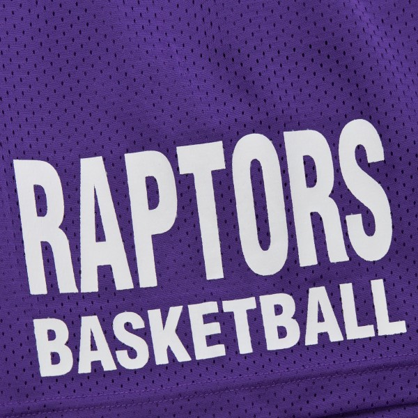 Toronto Raptors Mitchell & Ness Purple Hardwood Classics Gameday Mesh Shorts